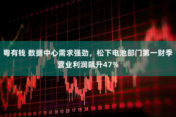 粤有钱 数据中心需求强劲，松下电池部门第一财季营业利润飙升47%